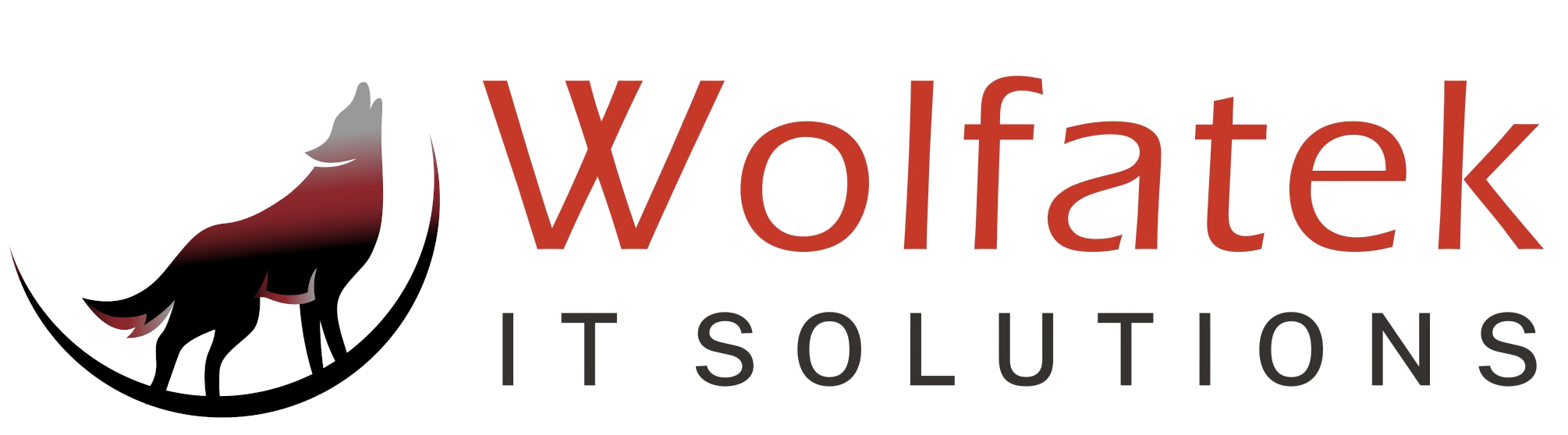 Wolfatek Evolutions | Custom Software |  Electronic Voting & Elections |  Enterprise ICT Solutions